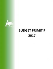 Synthèse du Budget Primitif 2017