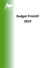 Synthèse du budget primitif 2019